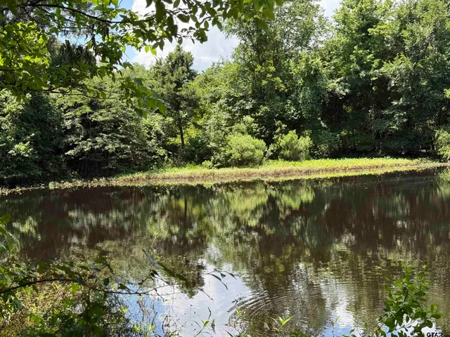 a view of a field with an trees
