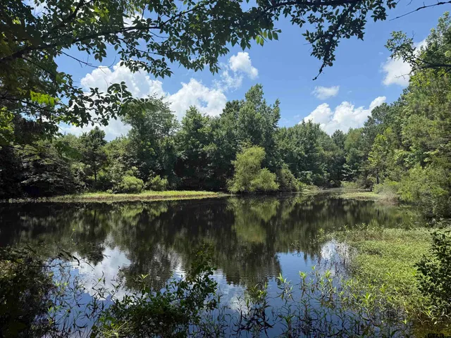 a view of a field with an trees in the background