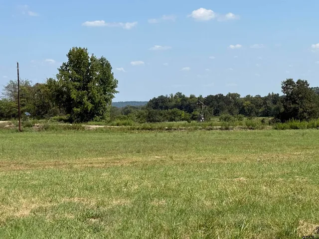 a big yard with lots of green space