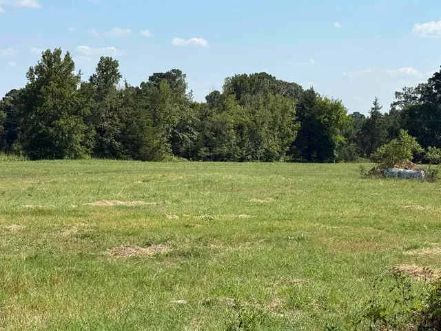 $845,000 | 503 Southeast Se Cr, Scroggins, TX 75480