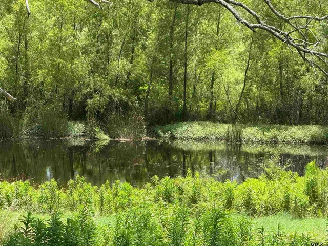 $845,000 | 503 Southeast Se Cr, Scroggins, TX 75480