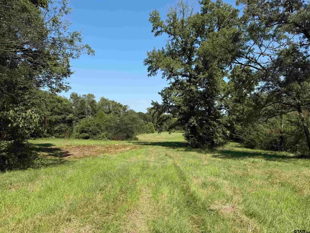 $845,000 | 503 Southeast Se Cr, Scroggins, TX 75480