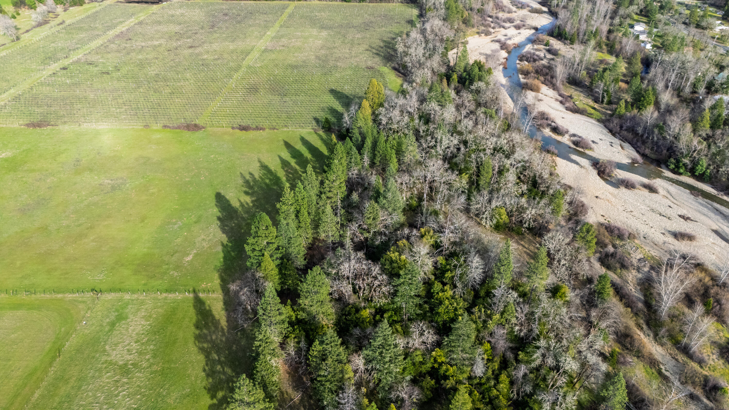 5395 Deer Creek Road Selma, OR 97538 - Photo 39 of 43 5395drone (18)