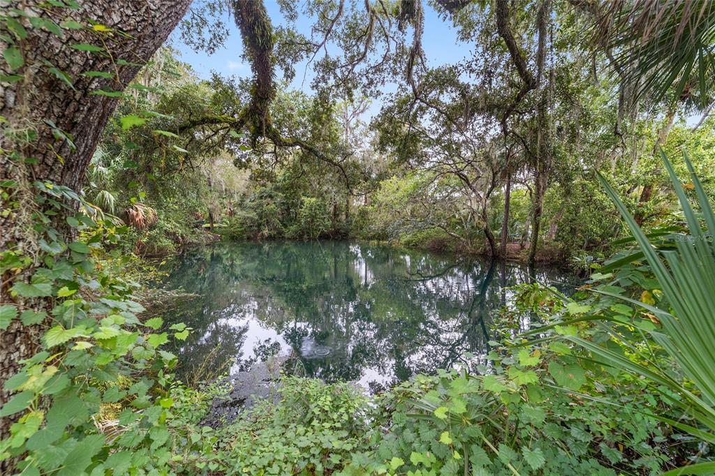 19421 Southwest 100th Loop Dunnellon, FL 34432 - Photo 62 of 65