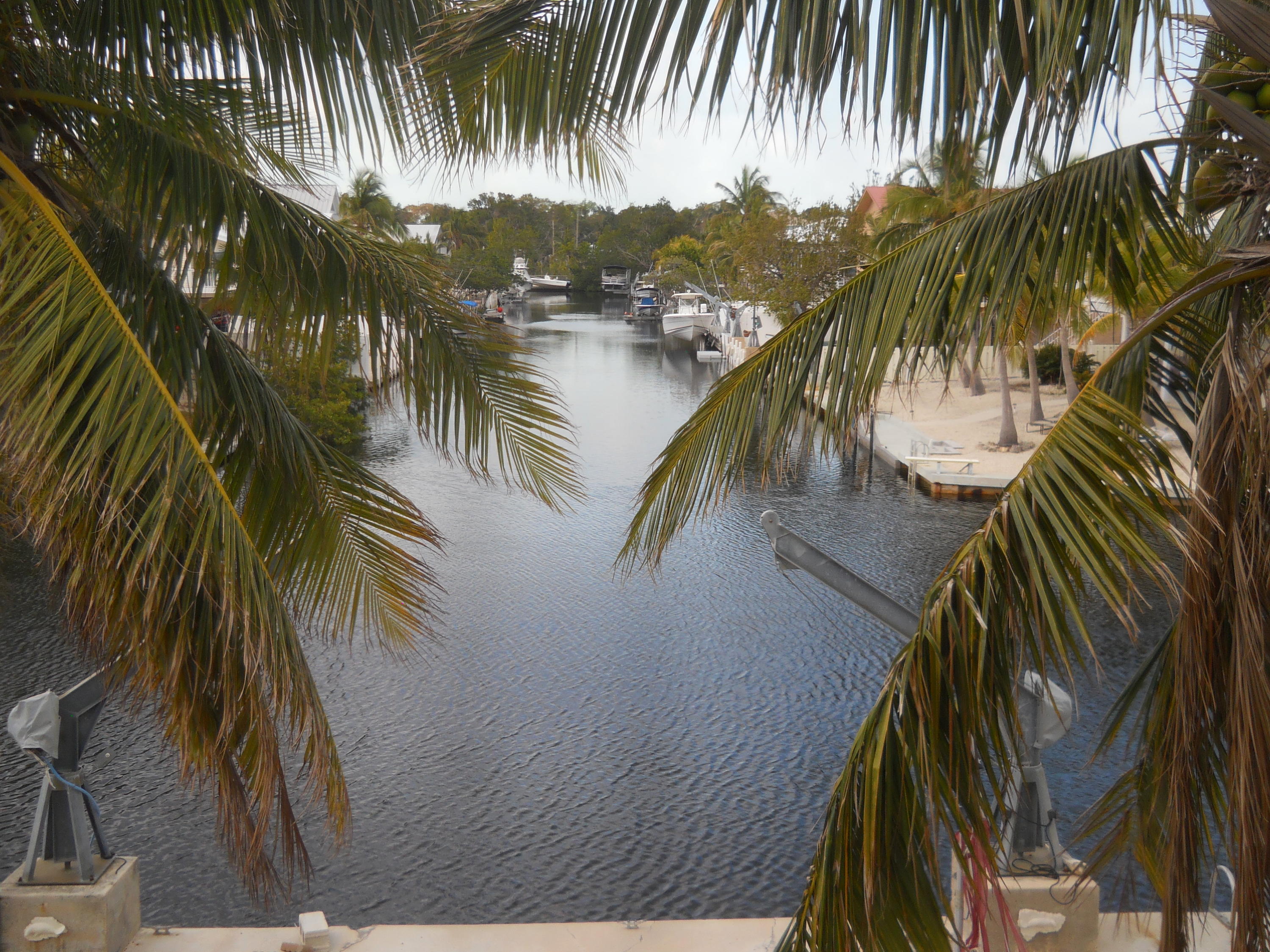 623 La Paloma Road Key Largo, FL 33037 - Photo 23 of 26 DSCN0785