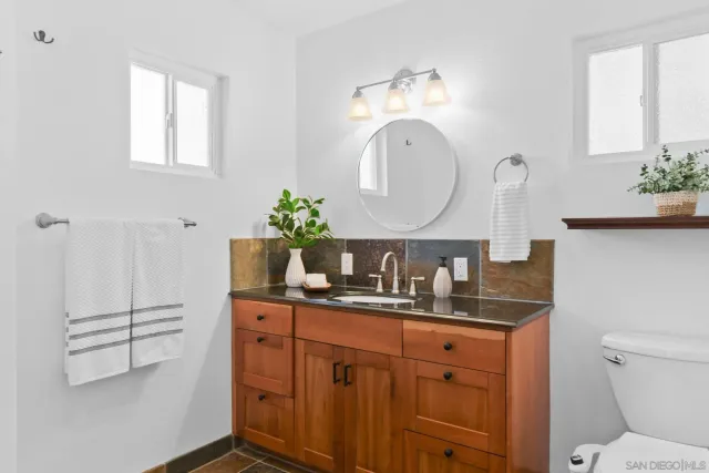a bathroom with a granite countertop sink a mirror and a potted plant