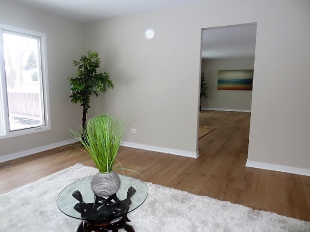21 Buckingham Road Glen Ellyn, IL 60137 - Photo 17 of 38 a living room with furniture and a potted plant