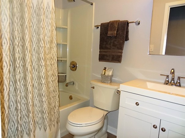 21 Buckingham Road Glen Ellyn, IL 60137 - Photo 18 of 38 a bathroom with a sink a toilet and shower curtain
