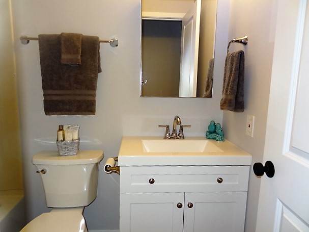 21 Buckingham Road Glen Ellyn, IL 60137 - Photo 19 of 38 a bathroom with a sink and a toilet