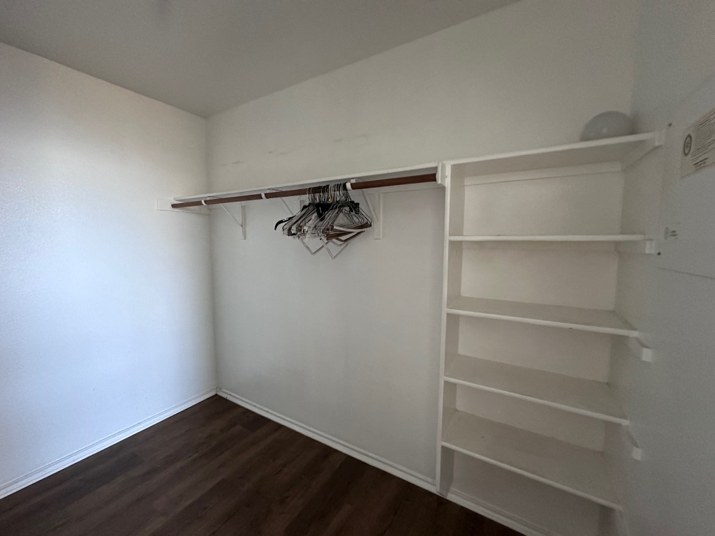 12720 Waynespur Lane Elgin, TX 78621 - Photo 28 of 31 a view of walk in closet with empty racks