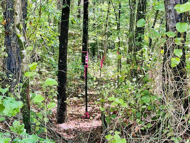 0 Sloan Road Lillington, NC 27546 - Photo 9 of 11 10