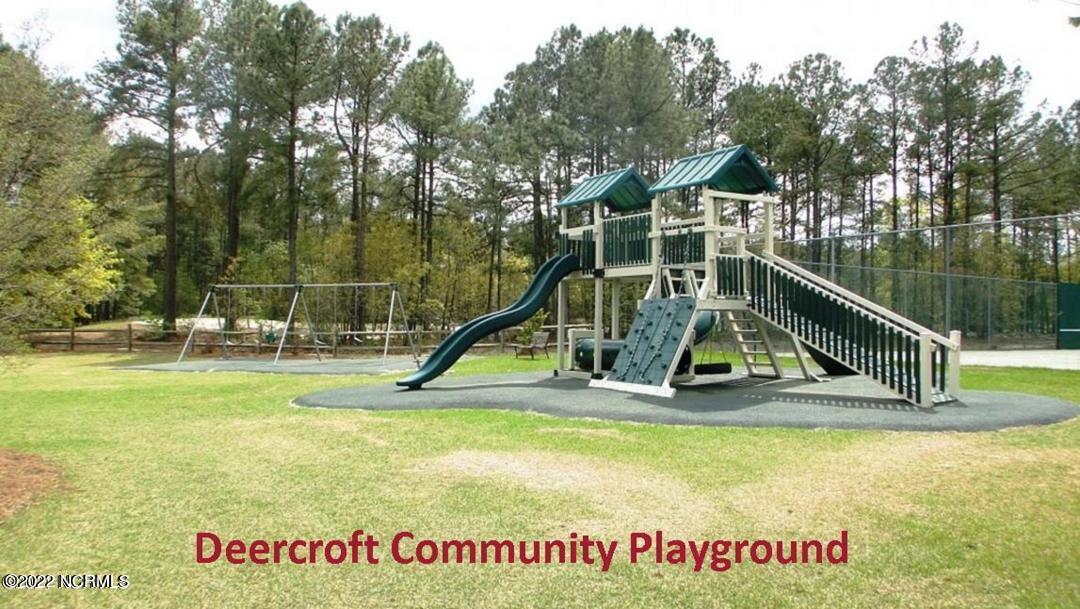 26 Raccoon Run Road Wagram, NC 28396 - Photo 5 of 7 Playground