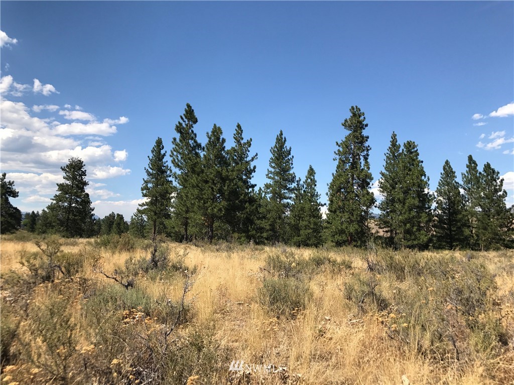 0 Longhill Road Winthrop, WA 98862 - Photo 4 of 10 Gallery Image 4