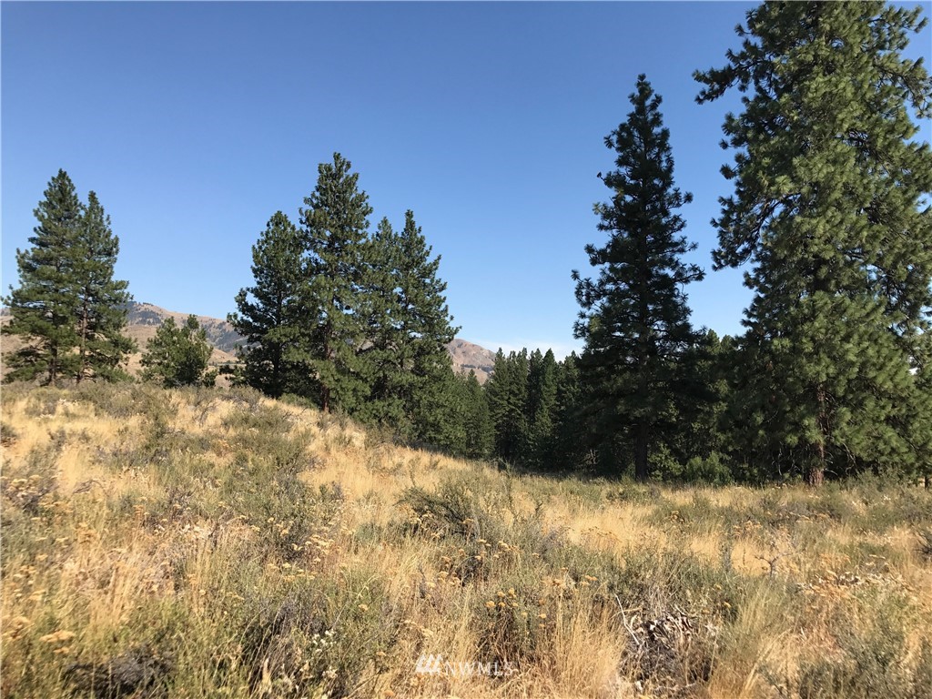 0 Longhill Road Winthrop, WA 98862 - Photo 6 of 10 Gallery Image 6