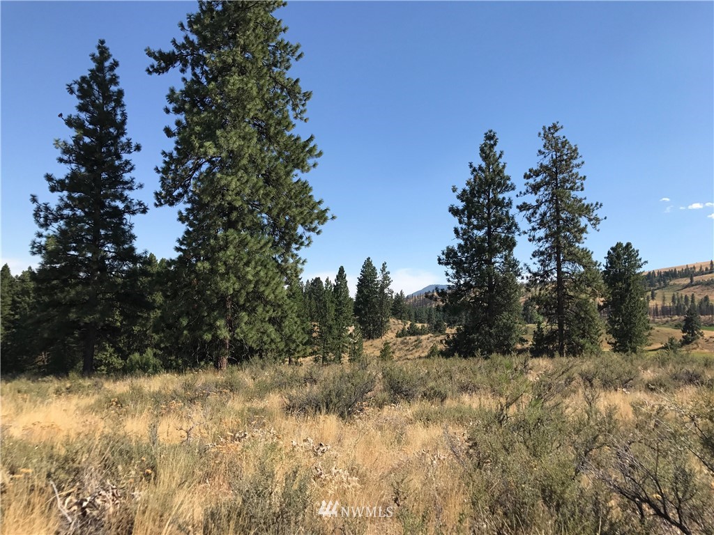 0 Longhill Road Winthrop, WA 98862 - Photo 7 of 10 Gallery Image 7