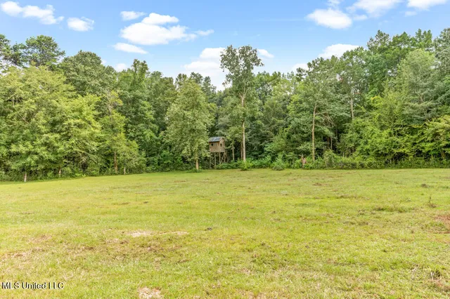 $1,350,000 | 9085 Old River Road, Richton, MS 39476