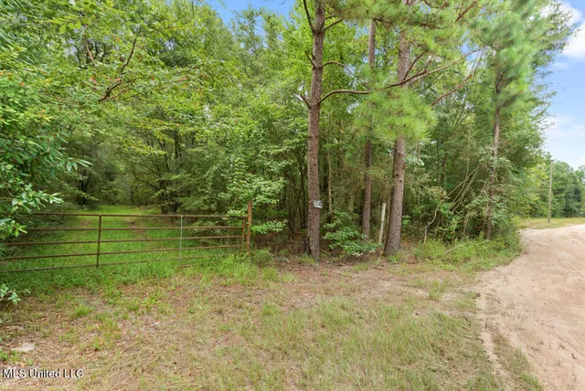$1,350,000 | 9085 Old River Road, Richton, MS 39476