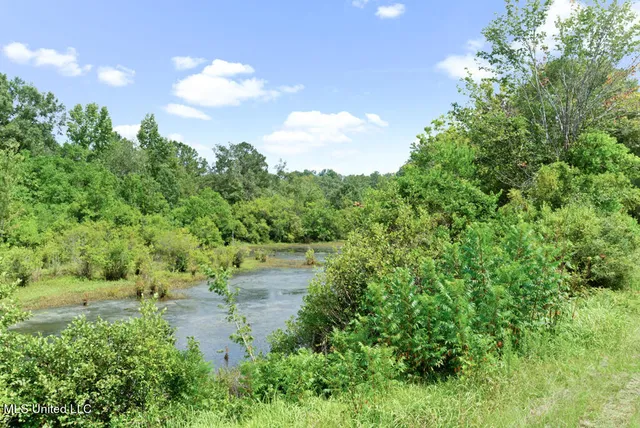 $1,350,000 | 9085 Old River Road, Richton, MS 39476