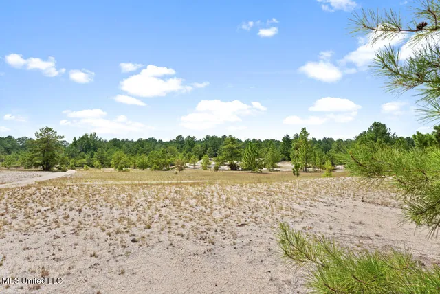 $1,350,000 | 9085 Old River Road, Richton, MS 39476