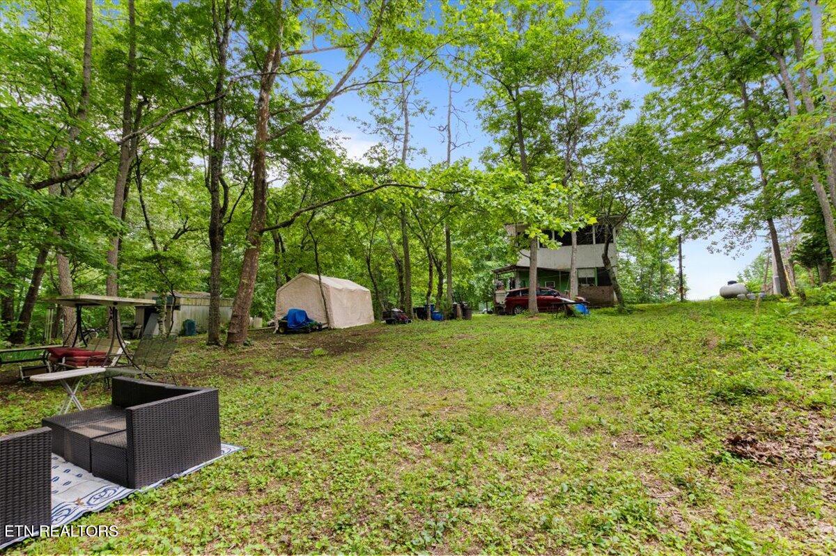 157 Chestnut Circle La Follette, TN 37766 - Photo 20 of 27 17-Chestnut