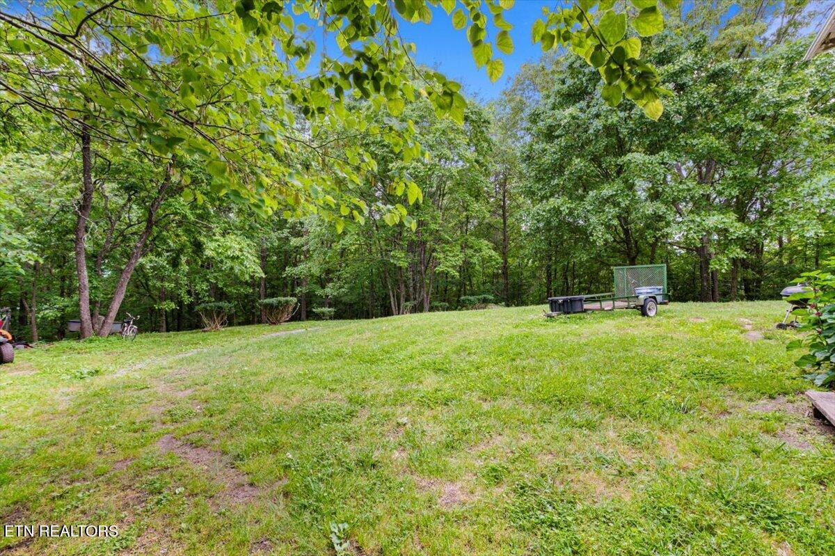 157 Chestnut Circle La Follette, TN 37766 - Photo 25 of 27 22-Chestnut