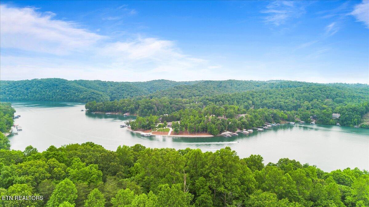 157 Chestnut Circle La Follette, TN 37766 - Photo 6 of 27 03-Chestnut