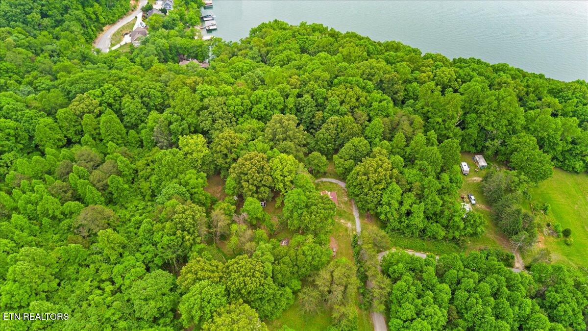 157 Chestnut Circle La Follette, TN 37766 - Photo 8 of 27 05-Chestnut