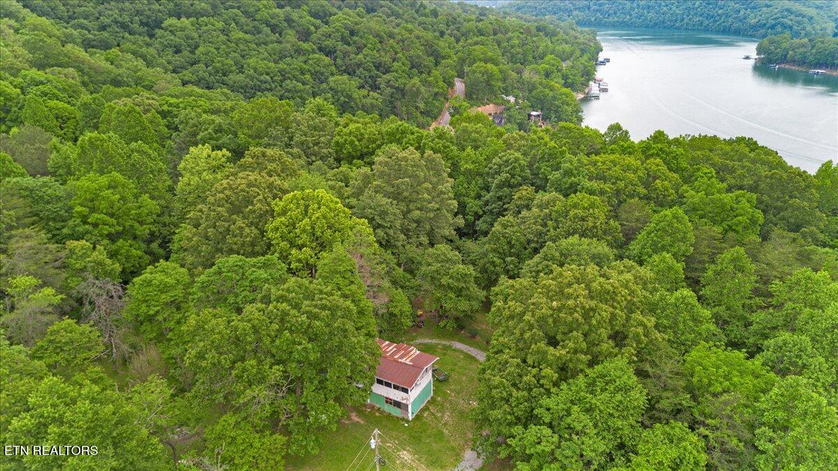 157 Chestnut Circle La Follette, TN 37766 - Photo 9 of 27 06-Chestnut