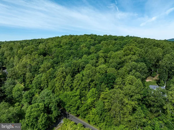 a view of a field of grass and trees