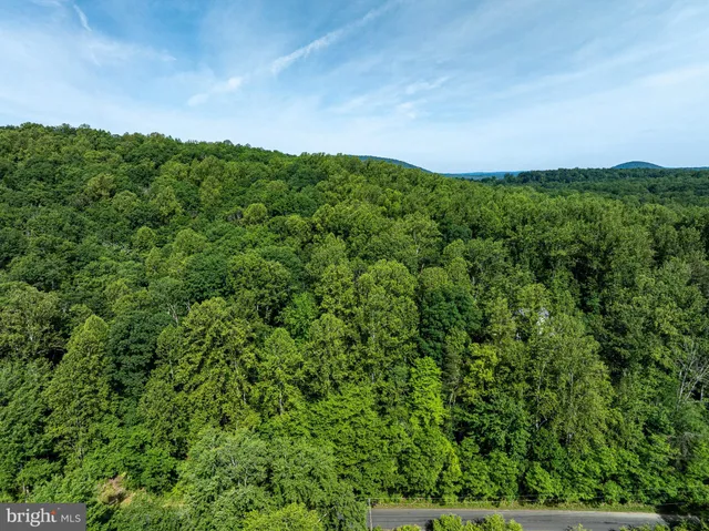 a view of a lush green outdoor space with a lake view