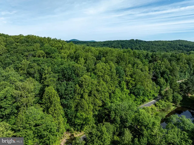 a view of a lush green outdoor space with a mountain in the background