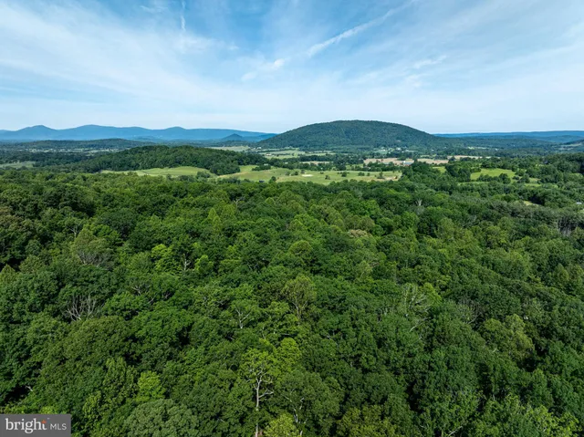 a view of a yard with an outdoor space