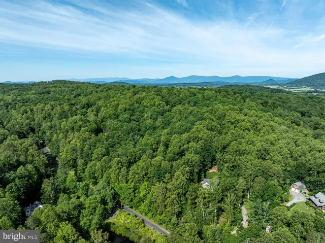 a view of a city with lush green forest