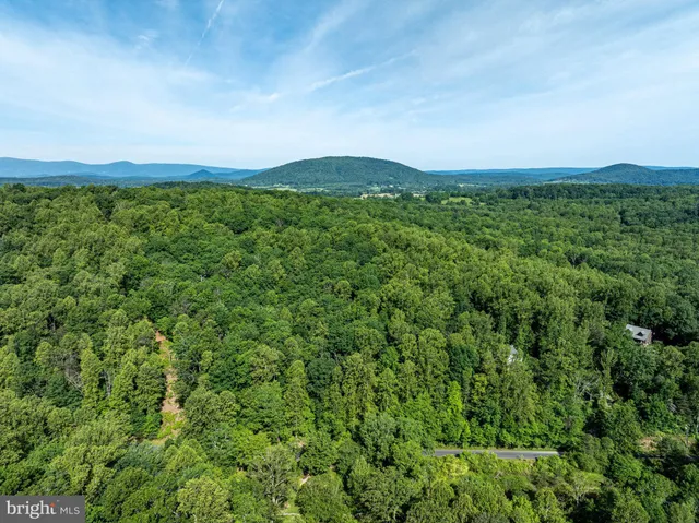 a view of a big yard with lots of green space and mountain view in back