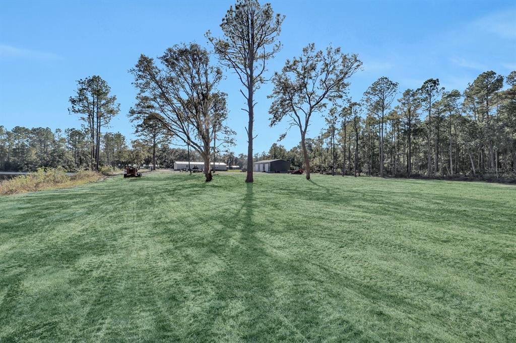 141 Woods Road San Mateo, FL 32187 - Photo 12 of 66 a view of a trees with a big yard