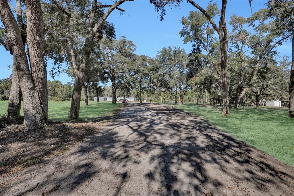 141 Woods Road San Mateo, FL 32187 - Photo 2 of 66 a view of outdoor space with trees