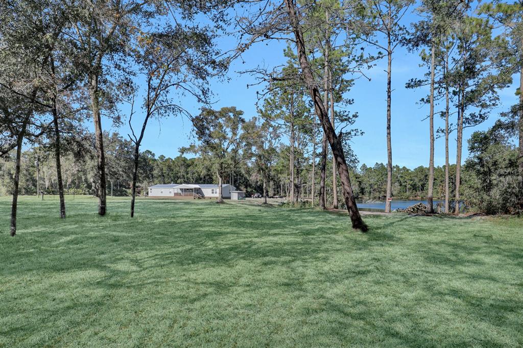 141 Woods Road San Mateo, FL 32187 - Photo 3 of 66 a view of a park with large trees