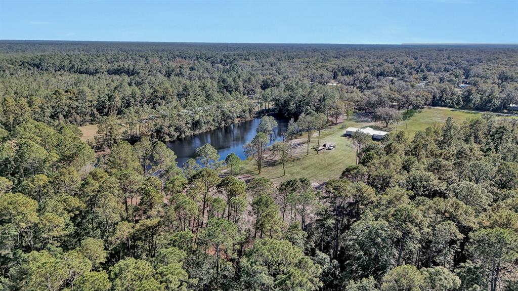 141 Woods Road San Mateo, FL 32187 - Photo 39 of 66 an aerial view of house with yard and mountain in back
