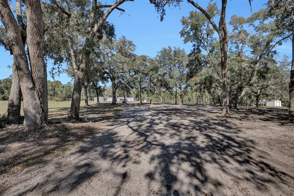 141 Woods Road San Mateo, FL 32187 - Photo 47 of 66 a view of outdoor space with trees