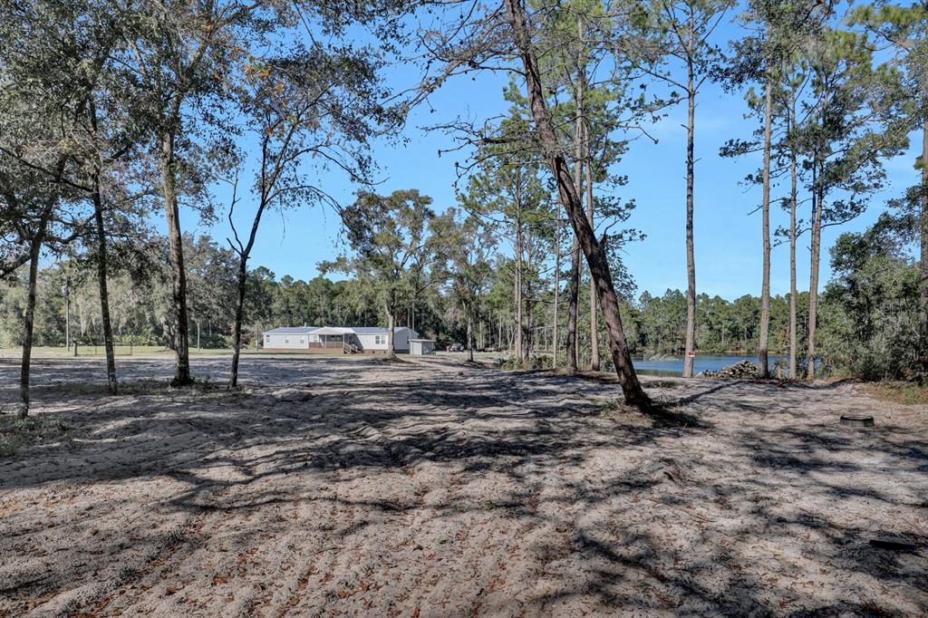 141 Woods Road San Mateo, FL 32187 - Photo 48 of 66 a view of a yard with a tree