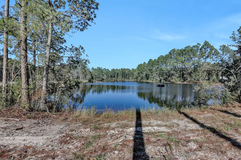 141 Woods Road San Mateo, FL 32187 - Photo 49 of 66 a body of water with a tree in the background