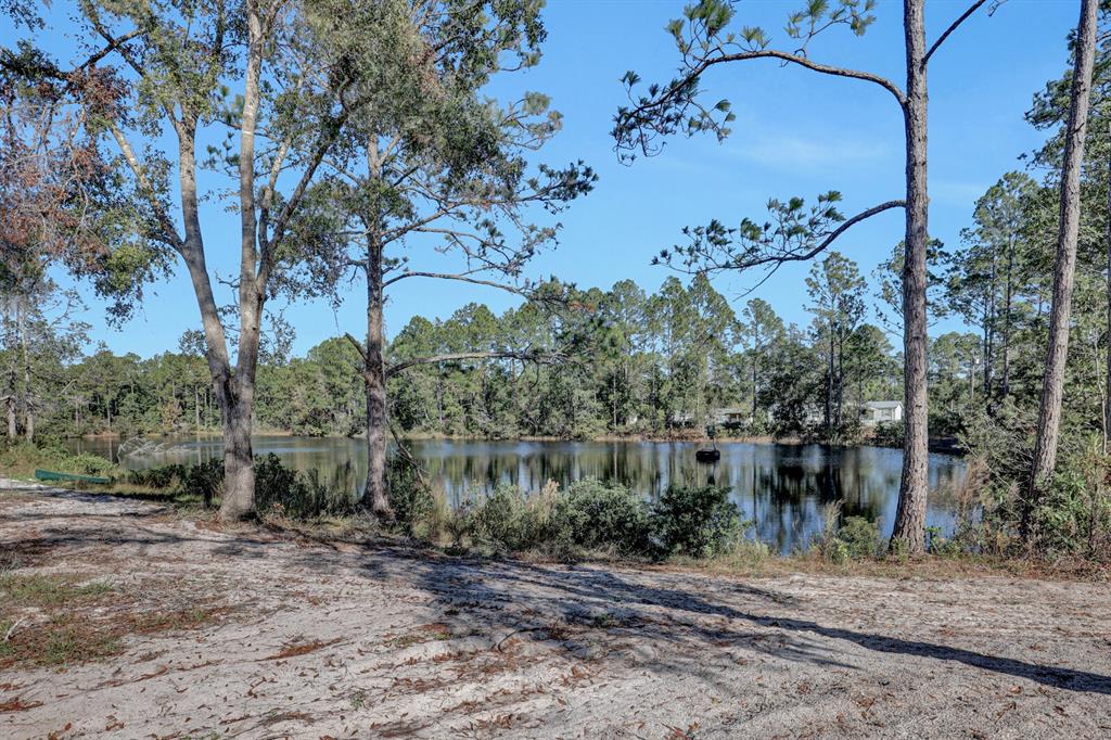 141 Woods Road San Mateo, FL 32187 - Photo 51 of 66 a backyard of a house with lots of green space