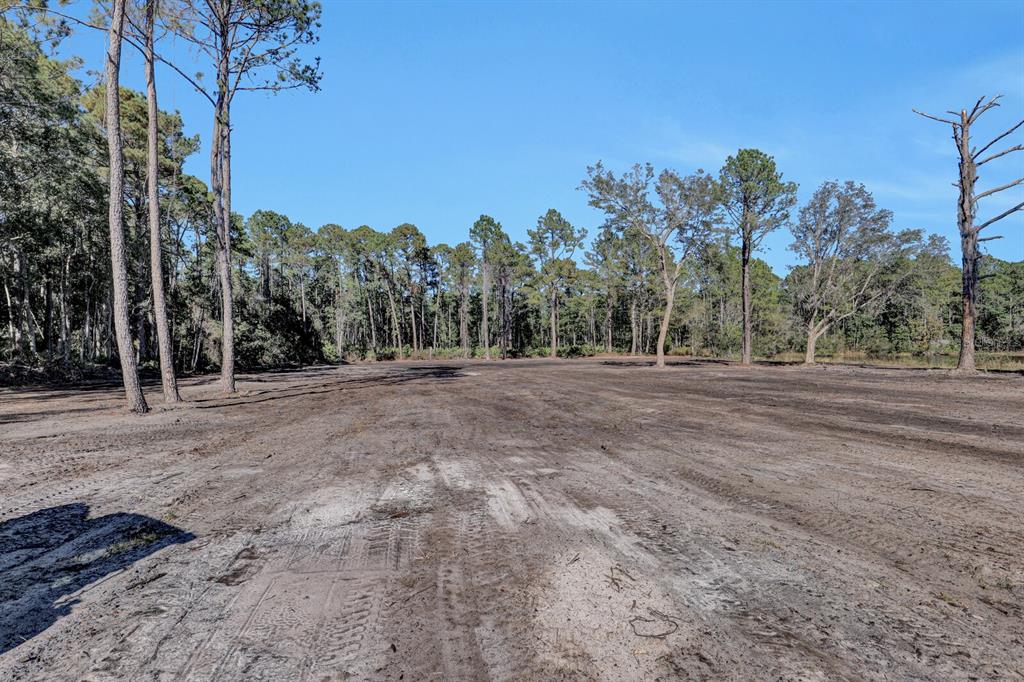 141 Woods Road San Mateo, FL 32187 - Photo 56 of 66 a view of dirt field with trees in the background