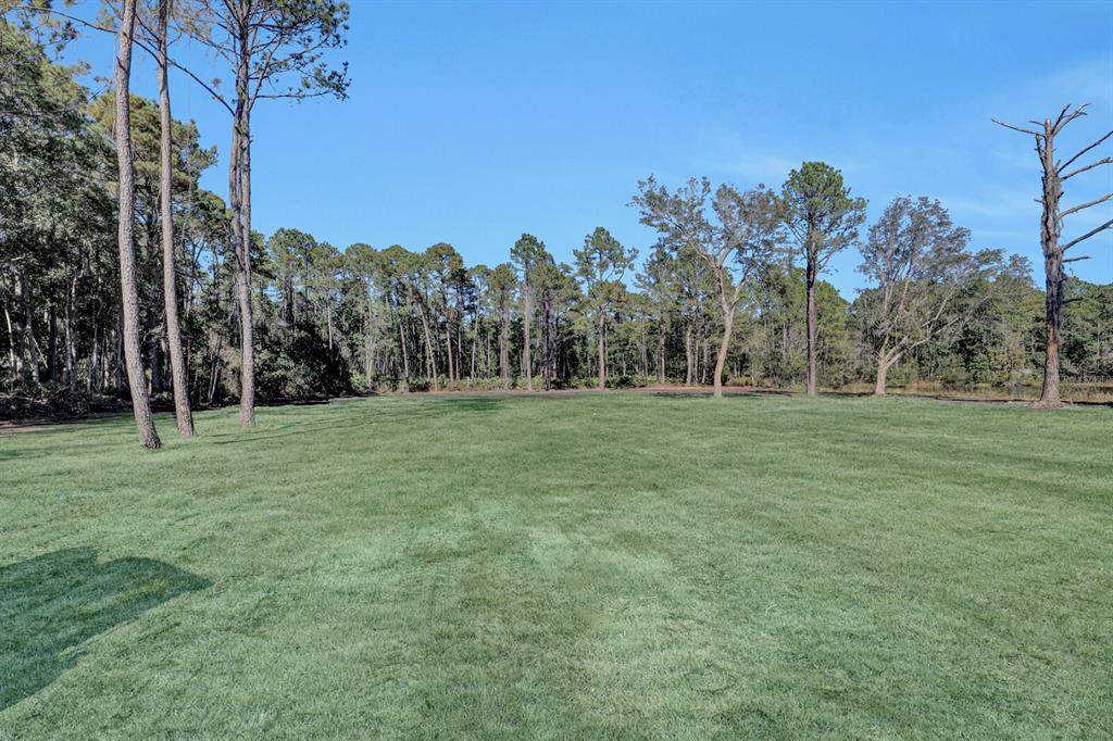 141 Woods Road San Mateo, FL 32187 - Photo 10 of 66