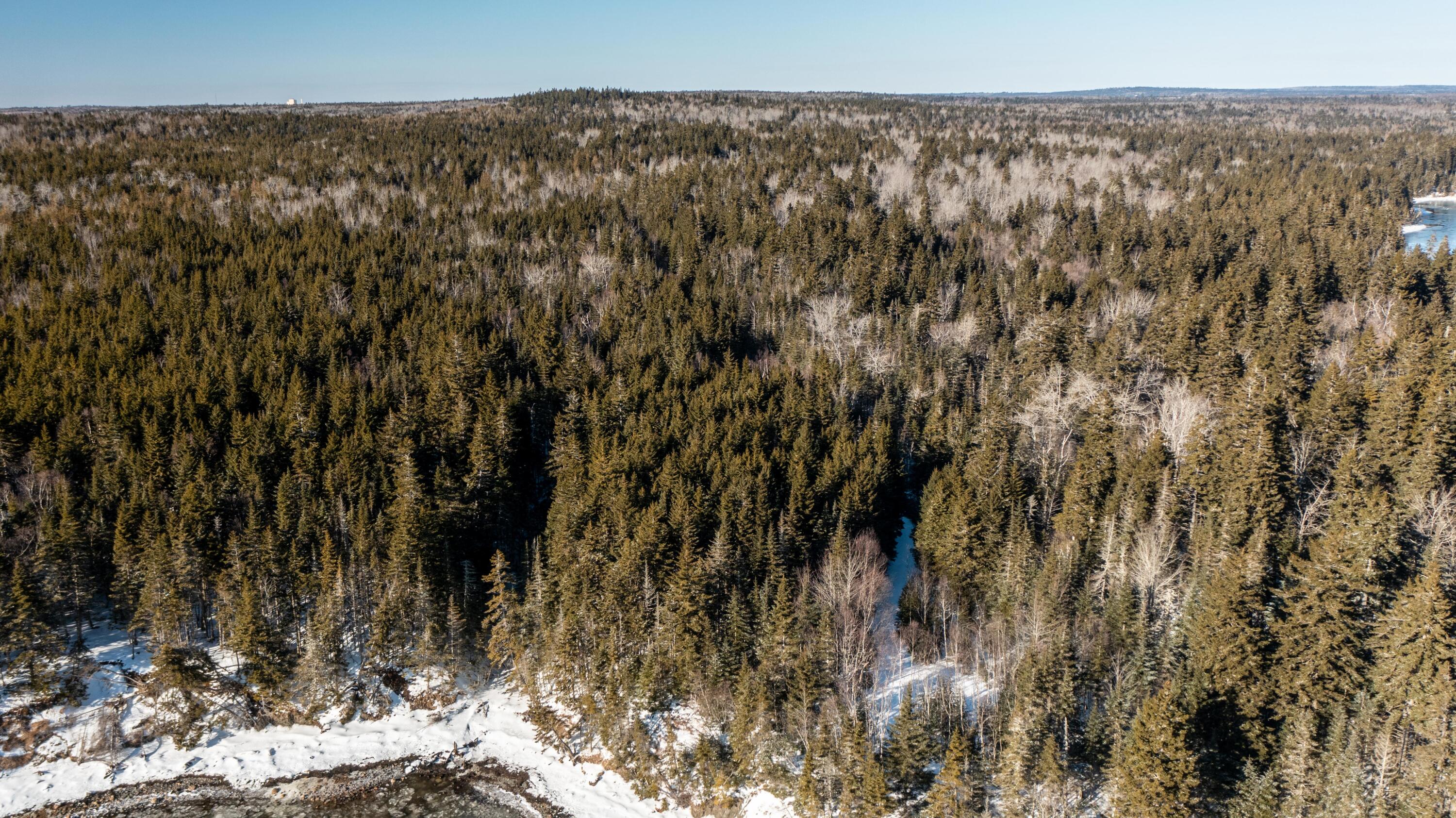 Lot #4 Nepp Point Road Roque Bluffs, ME 04654 - Photo 55 of 62 Lot 4 Nepp Point Rd, Roque Bluffs (29 of