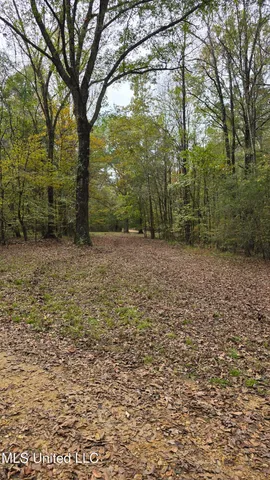 $395,000 | 19757 Highway 17, Lexington, MS 39095