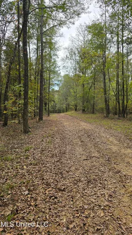 $395,000 | 19757 Highway 17, Lexington, MS 39095