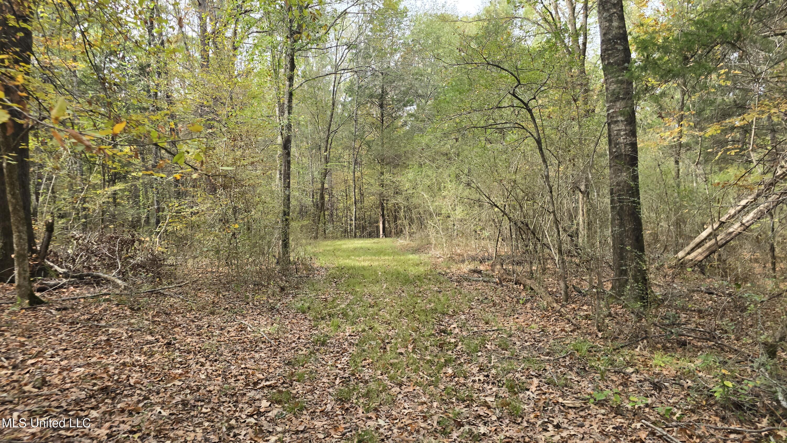 19757 Highway 17 Lexington, MS 39095 - Photo 13 of 59 20251024_124235