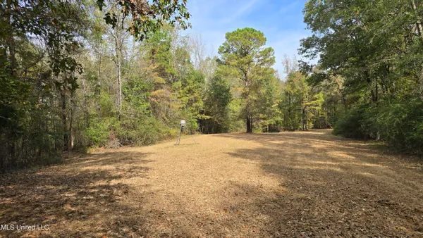 $395,000 | 19757 Highway 17, Lexington, MS 39095