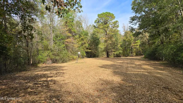$395,000 | 19757 Highway 17, Lexington, MS 39095